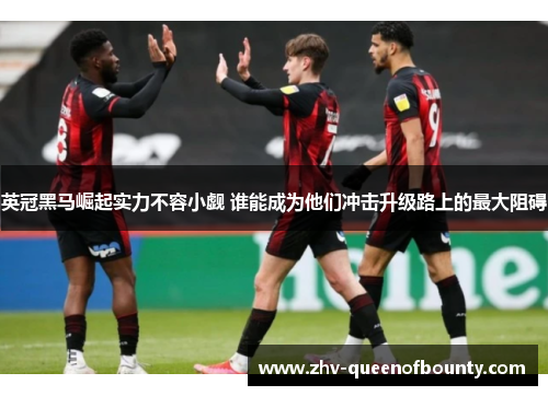 英冠黑马崛起实力不容小觑 谁能成为他们冲击升级路上的最大阻碍 英冠黑马崛起实力不容小觑 谁能成为他们冲击升级路上的最大阻碍