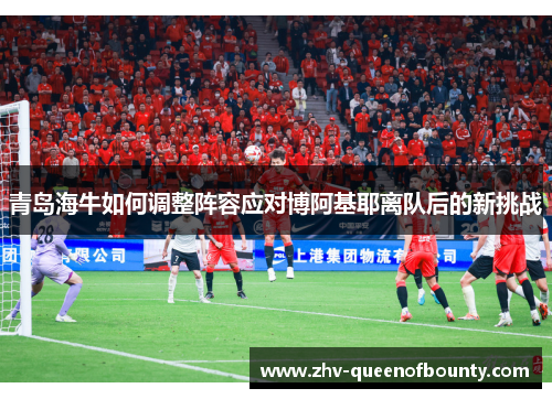 青岛海牛如何调整阵容应对博阿基耶离队后的新挑战 青岛海牛如何调整阵容应对博阿基耶离队后的新挑战