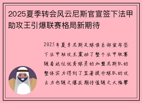 2025夏季转会风云尼斯官宣签下法甲助攻王引爆联赛格局新期待 2025夏季转会风云尼斯官宣签下法甲助攻王引爆联赛格局新期待