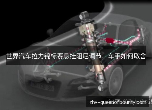 世界汽车拉力锦标赛悬挂阻尼调节，车手如何取舍